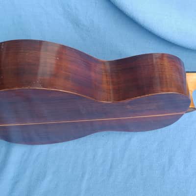 all original 1892 Washburn Parlor Adirondack Top Brazilian rosewood image 8