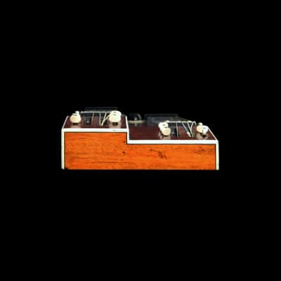 (Video) Double-Neck, non-Pedal Lap Steel w/Stand & OHSC image 7
