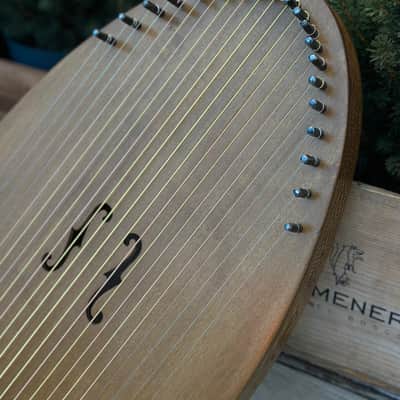 Reverie Harp Handmade Wood Musical Instrument Therapy Harp 22 String image 4