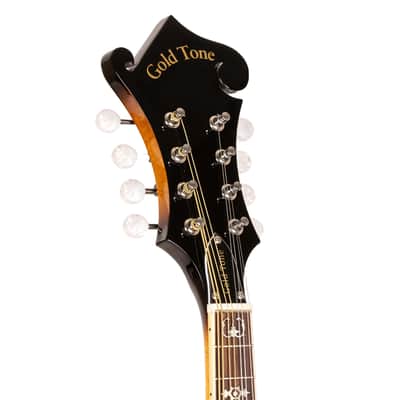 Gold Tone Sunburst F-Style Mandolin w/ Hard Case image 6