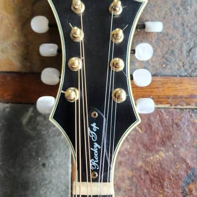 Morgan Monroe Rocky Top MDM-1 F-style mandolin w/hsc + extras - natural/relic image 6