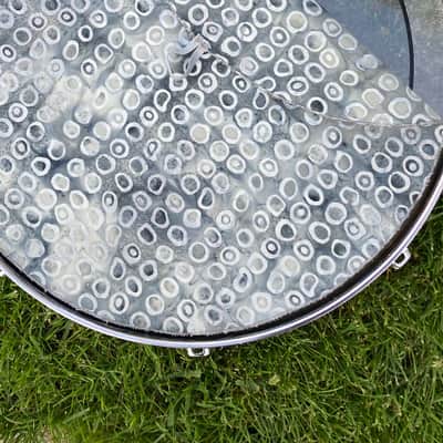 16" single layer Drum Bunny cloth drum cover - dampener - partial mute - compare to Drum Tortillas - Quesadilla - Big Fat Snare image 2
