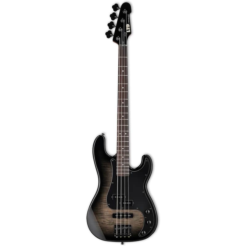ESP LTD Surveyor-204DX image 3