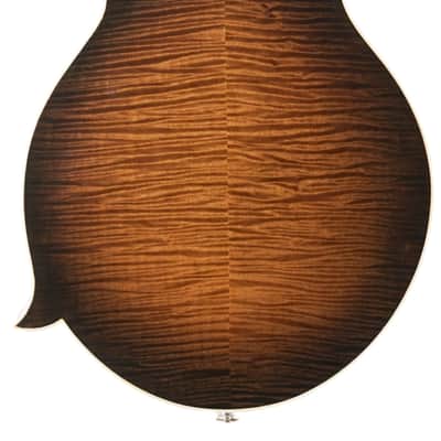 Used Larrivee F-33 Mandolin Sunburst image 5