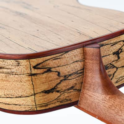 Cordoba 24B Spalted Maple Spruce Baritone Ukulele image 9