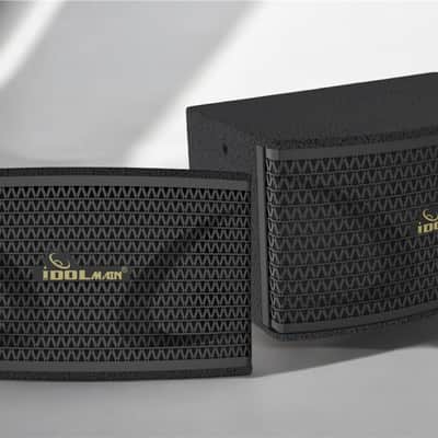 IDOLmain 12" 40000W Full Range Speakers With Bass Booster and 4000W Digital Mixing Amplifier And Dual Wireless Microphones Karaoke System image 2