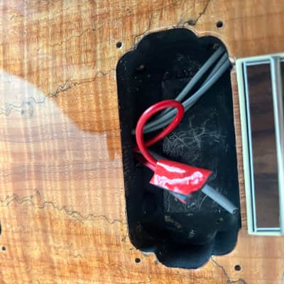 WIDLXSPLTD Spalted Maple Idol Limited Edition image 13