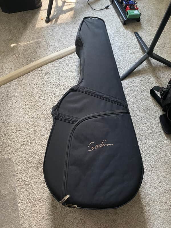 Godin TRIC Multiac Steel/Ambiance/Spectrum Deluxe Guitar Case Regular Black image 1