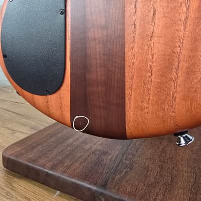 Spector Euro 4 RST - Sienna Stain image 23