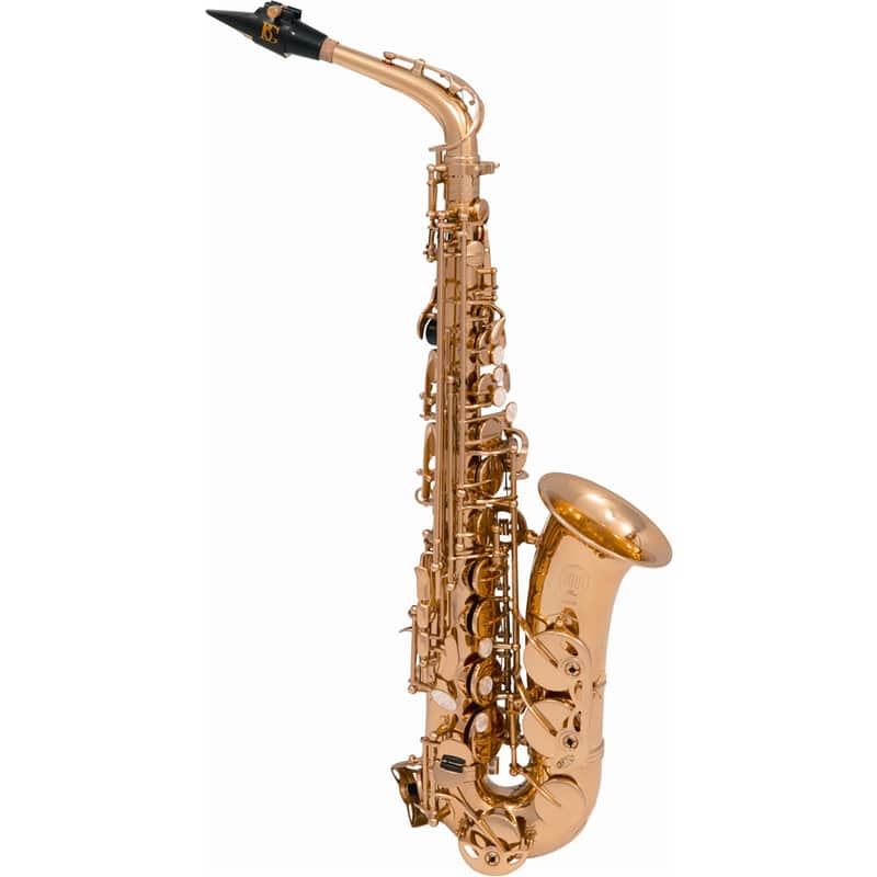 SML Paris VSM A420-II Sax 400 Contralto image 1