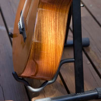 Taylor Jason Mraz Signature Model (JMSM) image 15