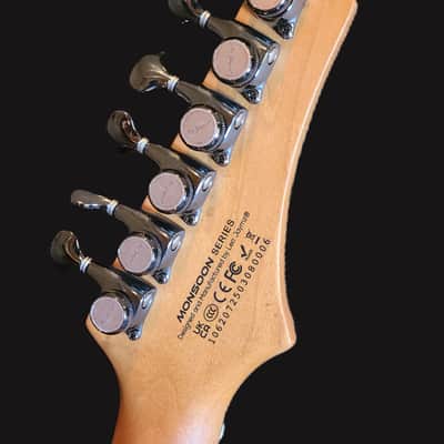 Leo Jaymz Monsoon Deluxe Electric Guitar – Burl & Resin Finish + Case – Pro Setup image 6