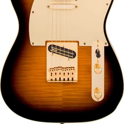 Fender Richie Kotzen Signature Telecaster MIJ 2013 - Present - Brown Sunburst image 1