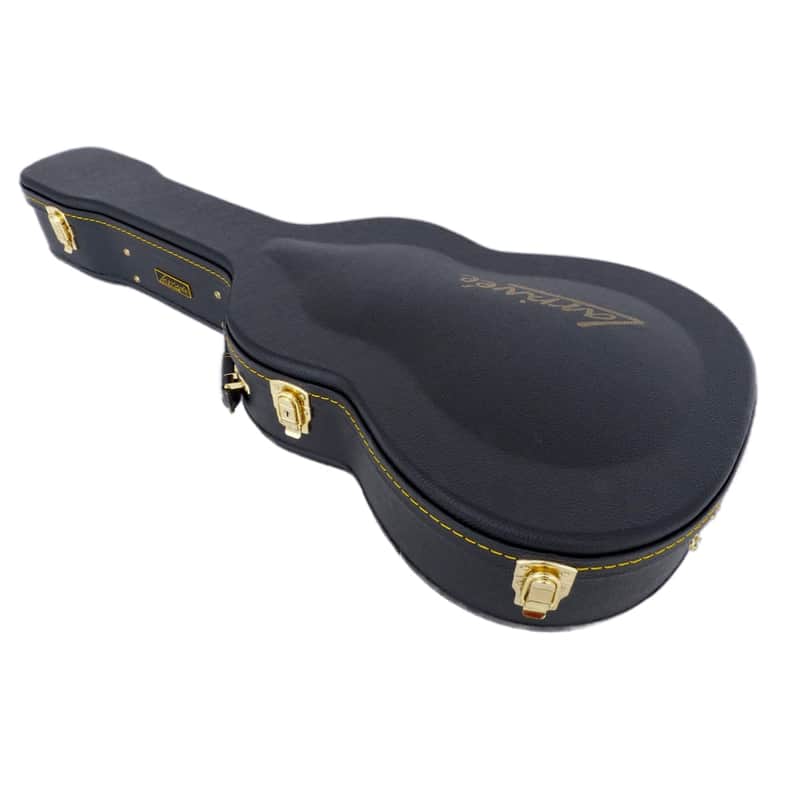 Larrivee Archtop case image 1