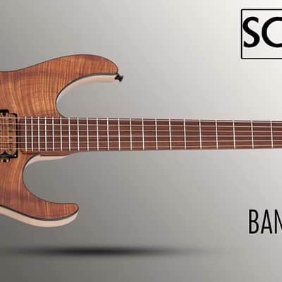 Schecter USA Custom Shop Masterworks Banshee Exotic 2018 image 15