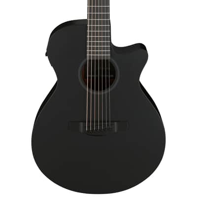 Ibanez AEG Series AEG721 7-String Acoustic-Electric Guitar - Black Out image 1