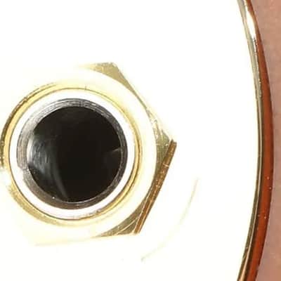Cordoba Limited Edition Stage Nylon-string Acoustic-electric Guitar Garnet w/Padded Gig Bag image 19