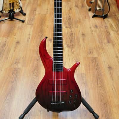 F Bass BN5 Faded Red image 2