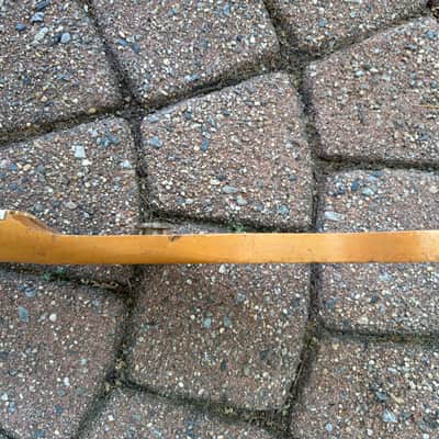 1968 Fender Telecaster Bass Neck Maple image 16