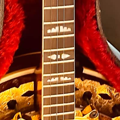 Framus Flagship Gold Resonator Five String Banjo 1974 - Gold And Rosewood image 11