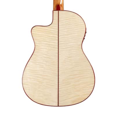 Cordoba Fusion 12 Nylon String Acoustic-Electric Guitar - White Sands image 3
