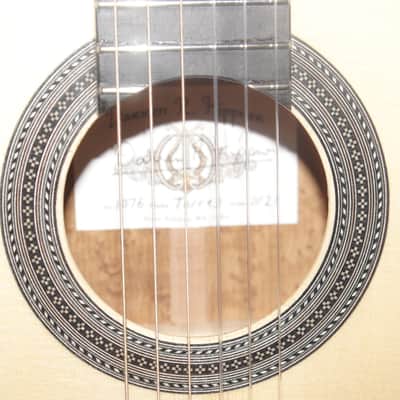 Darren Hippner Birdseye Classical Guitar Torres 2021 B Stock image 2