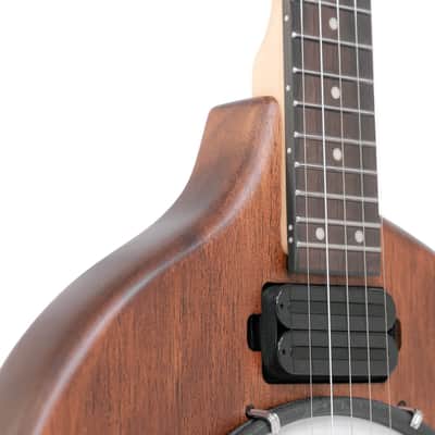 Gold Tone EB-5 Solid Body Mahogany Top Maple Neck 5-String Electric Banjo with Gig Bag image 6