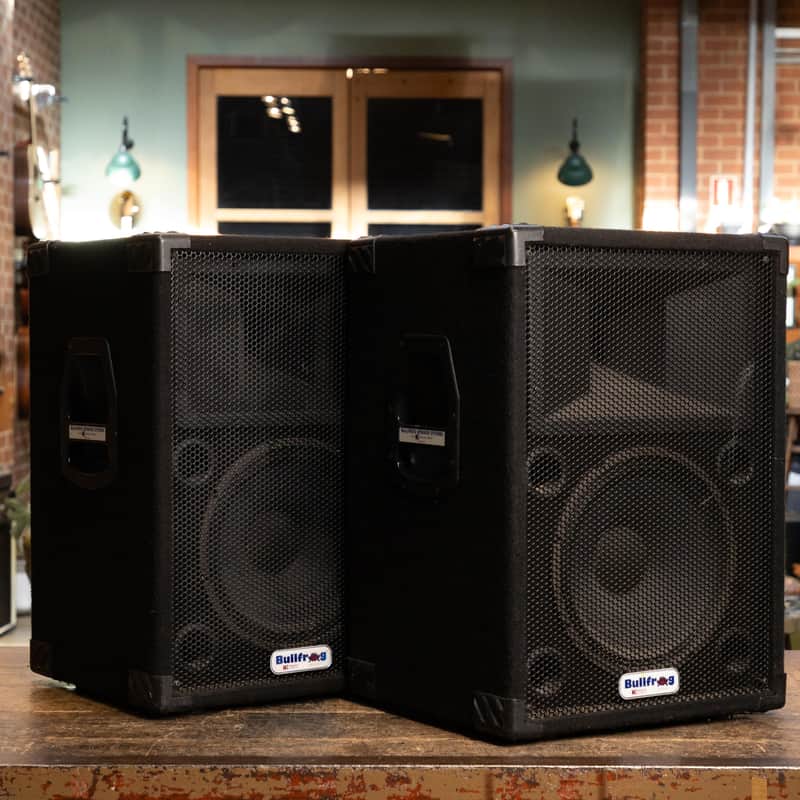 Bullfrog 1x12" PA Speaker with Tweeter (Pair) image 1