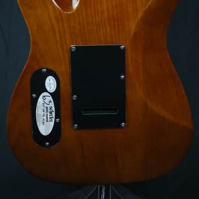Schecter PT Van Nuys - Gloss Natural Ash Bild 12