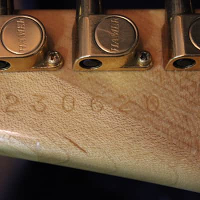 Hamer Chapparral Elite 1992 Trans Flamed Maple image 11