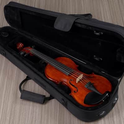Realist RV5PEFA | 5-String Acoustic / Electric 4/4 Violin Outfit. New with Full Warranty!