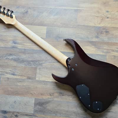 Ibanez Prestige RGA-121 image 13
