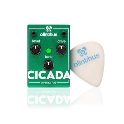 Immagine Cicada Overdrive - Mini "Tube Screamer" Pedal - 2