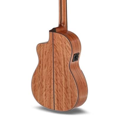 Manuel Rodriguez Tesoro De Camerun Limited Edition Solid Cedar Top & Cedar Neck 6-String Classical Acoustic-Electric Guitar w/Hard Case image 3