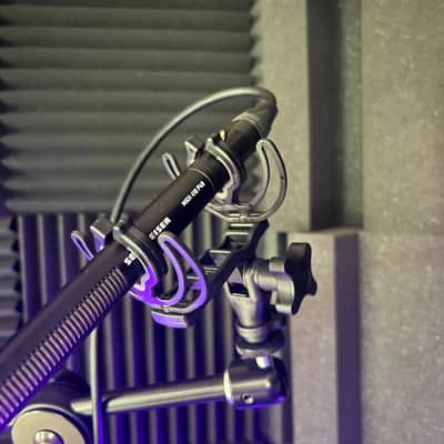 Sennheiser MKH 416 (includes Rycote shock mount) image 20