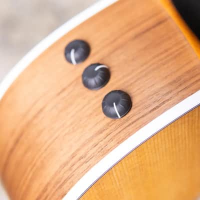 Taylor 214ce Grand Auditorium Acoustic/Electric Guitar with Gig Bag image 10