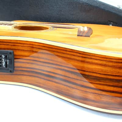 Zager Zad-80ce acoustic electric guitar cutaway w/ Zager Case image 11