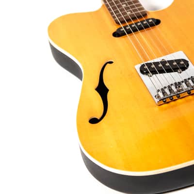 J.R. Tele-acoustic Owned by Mike Campbell image 13