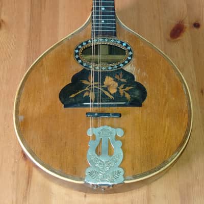 Cased George P. Matthew Mandolin 1882-1910 image 13