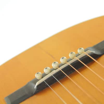 Larson Brothers "J.F. Stetson" ~1929 - Martin parlor style - great sounding guitar - check video! image 9