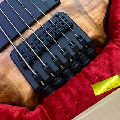 LeFay Remington Steele 6st 2020 Natural *RARE *Worldwide FAST S/H image 5