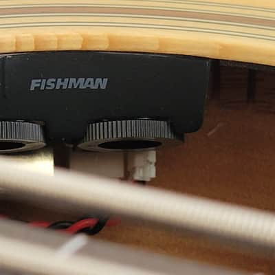 Warwick RockBass Alien Standard 5 String Fretless Acoustic Electric Bass Guitar, Gig Bag image 8