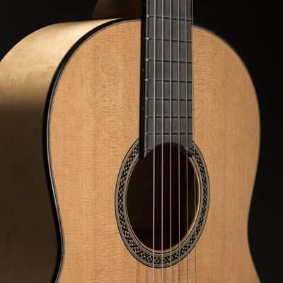 Martin Classical Guitar String Set Hard Tension Ball End M160 image 4