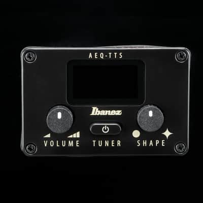Ibanez AEG5012BK Acoustic Electric 12-String Guitar - Black (AEG5012BK) image 9