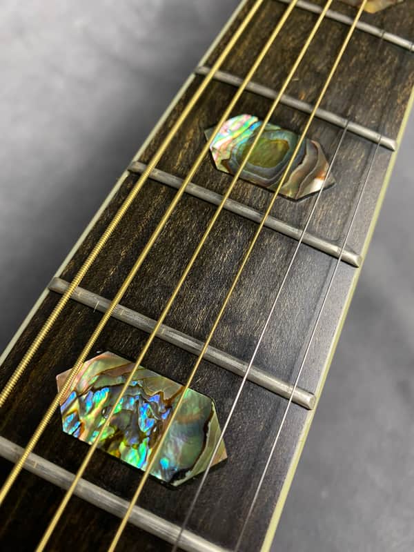 T F Morris W-80 Rare MIJ Premium Model early 1980's | Reverb
