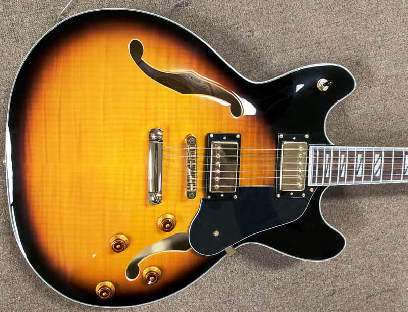 Washburn HB35 Semi-Hollowbody Electric Guitar, Maple Top, Back