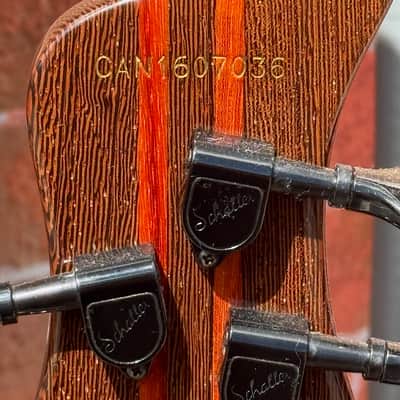 Mayones Caledonius 5 string Bass 2024 - stunning boutique bass & 1 of the coolest designs ever ! image 8