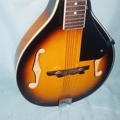 Johnson Oval Hole Acoustic Model MA-100 Needs New Strings and Tailpiece Cover image 2