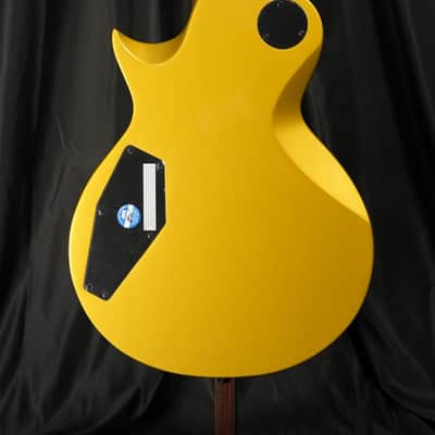 ESP LTD EC-2025 50th Anniversary 2025 - Metallic Gold image 7