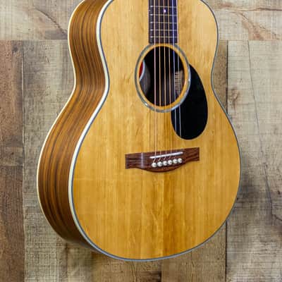 Immagine Eastman PCH2-TG Traveler w/Gigbag - 4